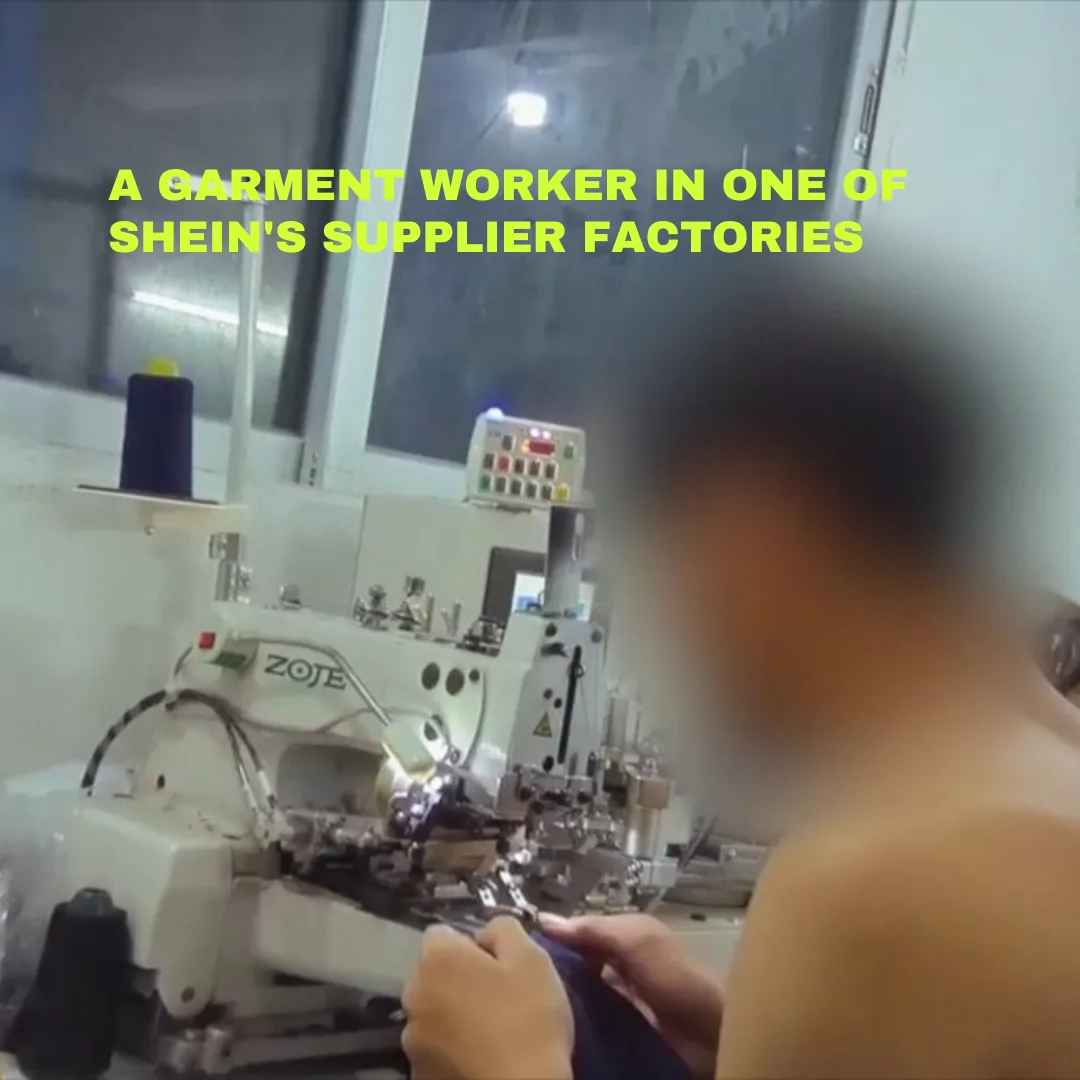 Inside the Shein Machine: How Sharing the Truth Makes a Difference