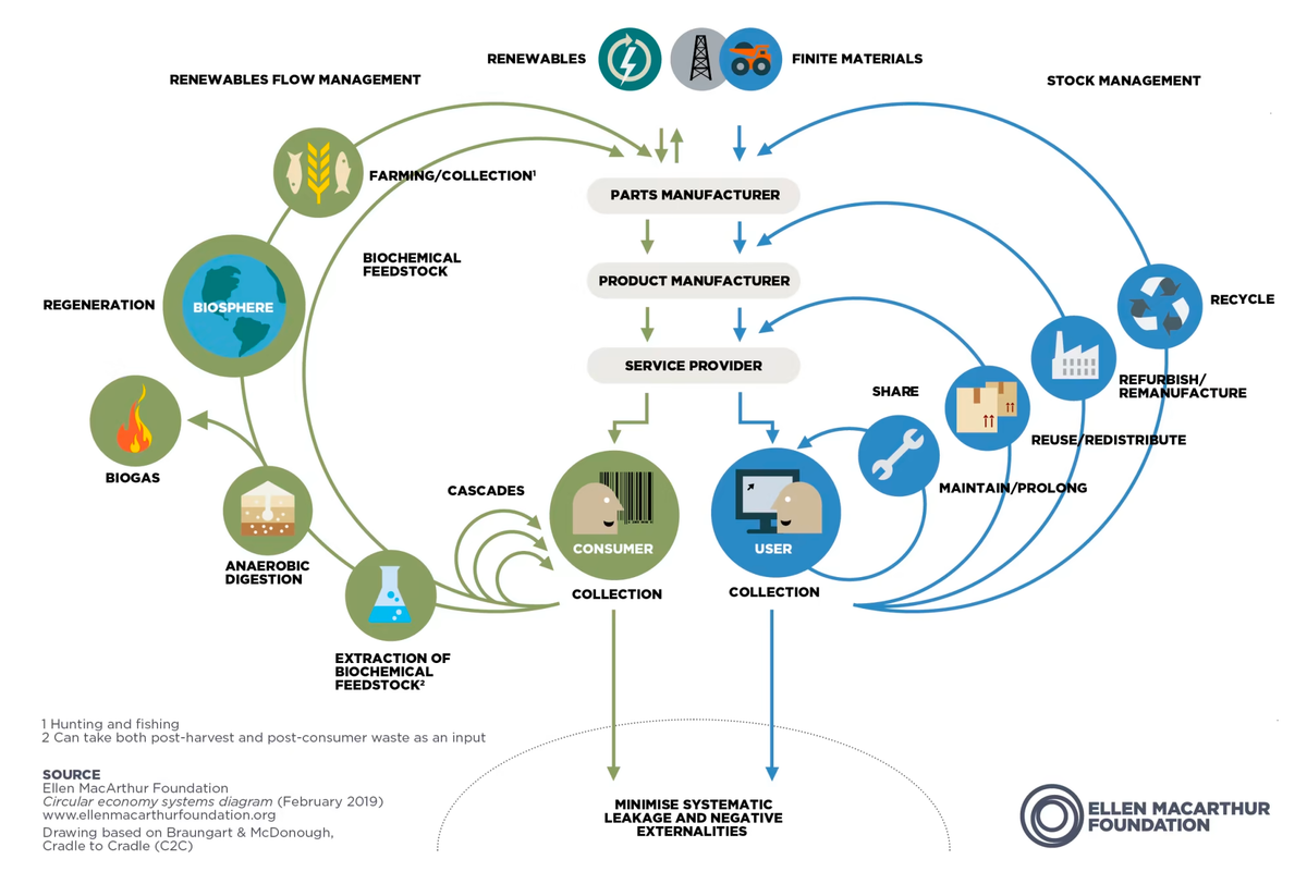 What Is Circularity?