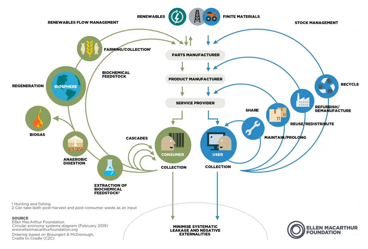 What Is Circularity?